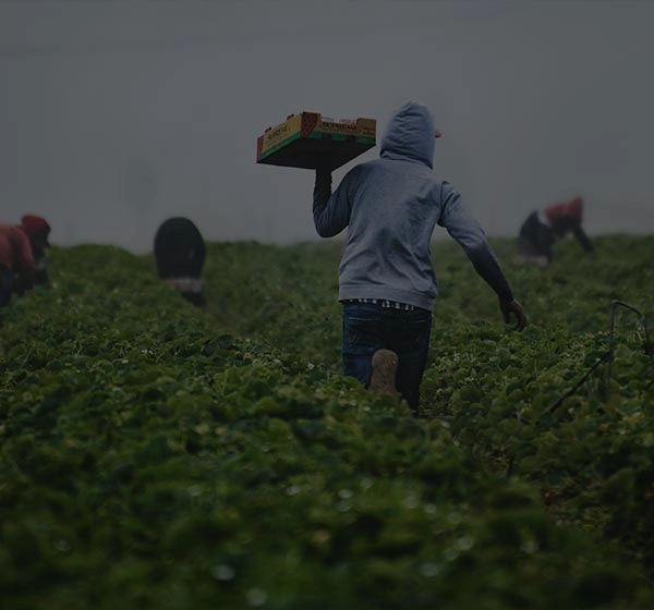 Agriculture Workers
